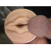 Fleshlight Girls Stoya Destroya