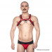 Prowler RED Bull Harness Black/Red S